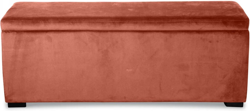 Bancheta Roz din Catifea cu Loc de Depozitare 120cm OPJET PARIS - Catifea Roz Lungime (120cm) x Latime (40cm) x Inaltime (45cm)