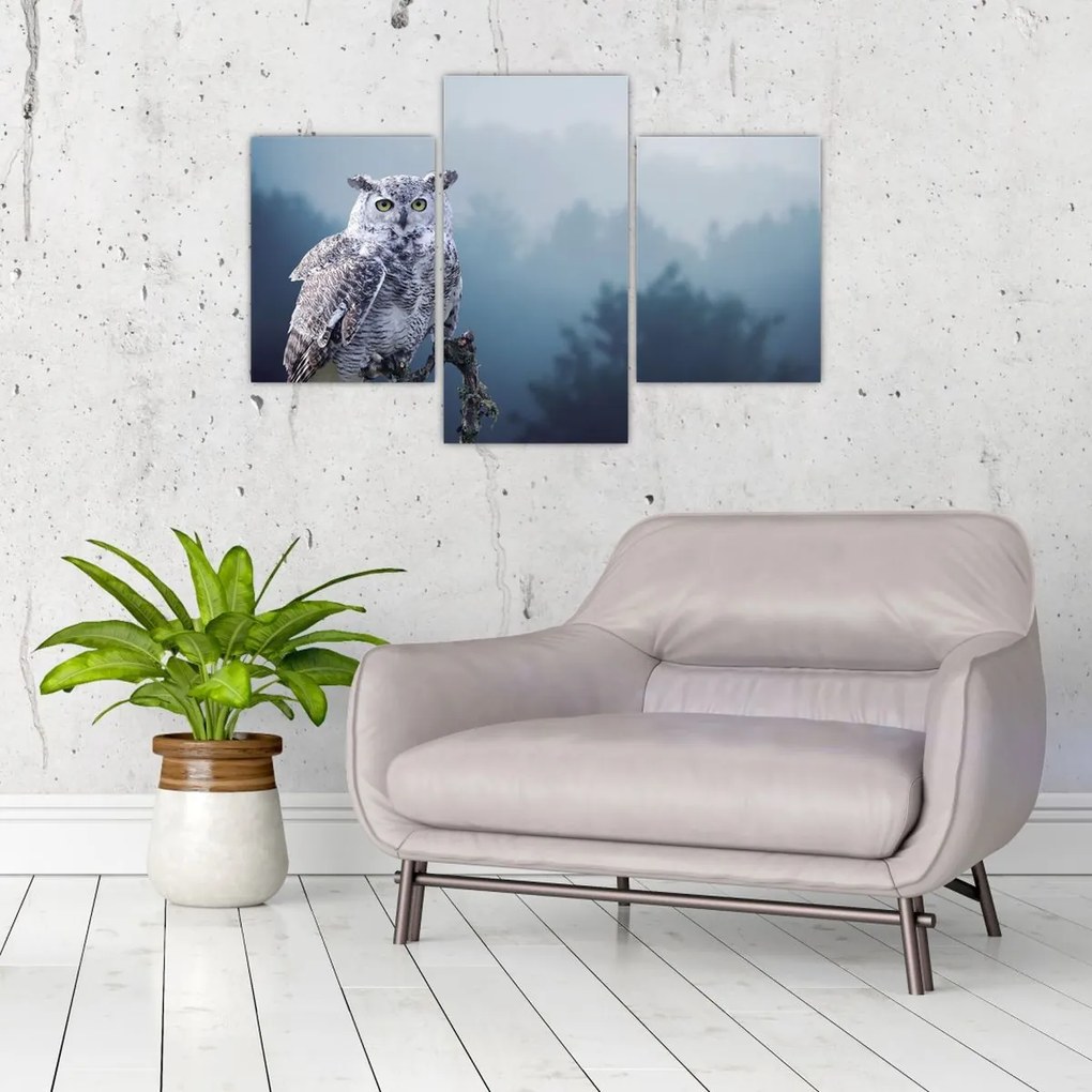 Tablou - Bufniță de zăpadă (90x60 cm)