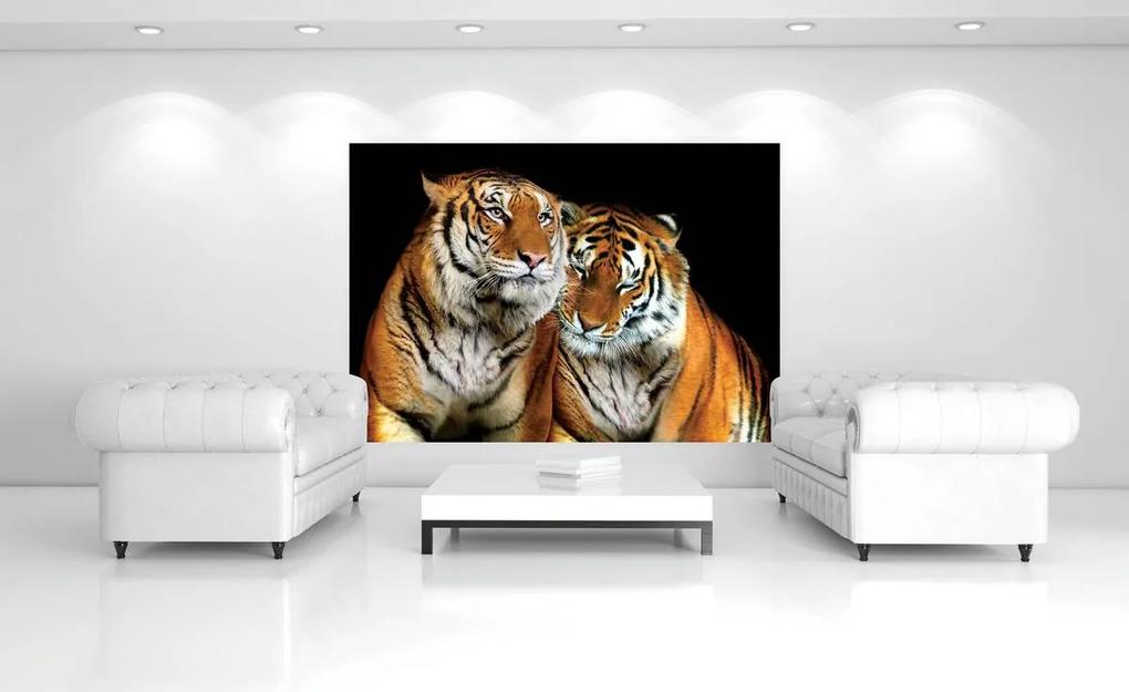 Fototapet - Tigri (254x184 cm), în 8 de alte dimensiuni noi