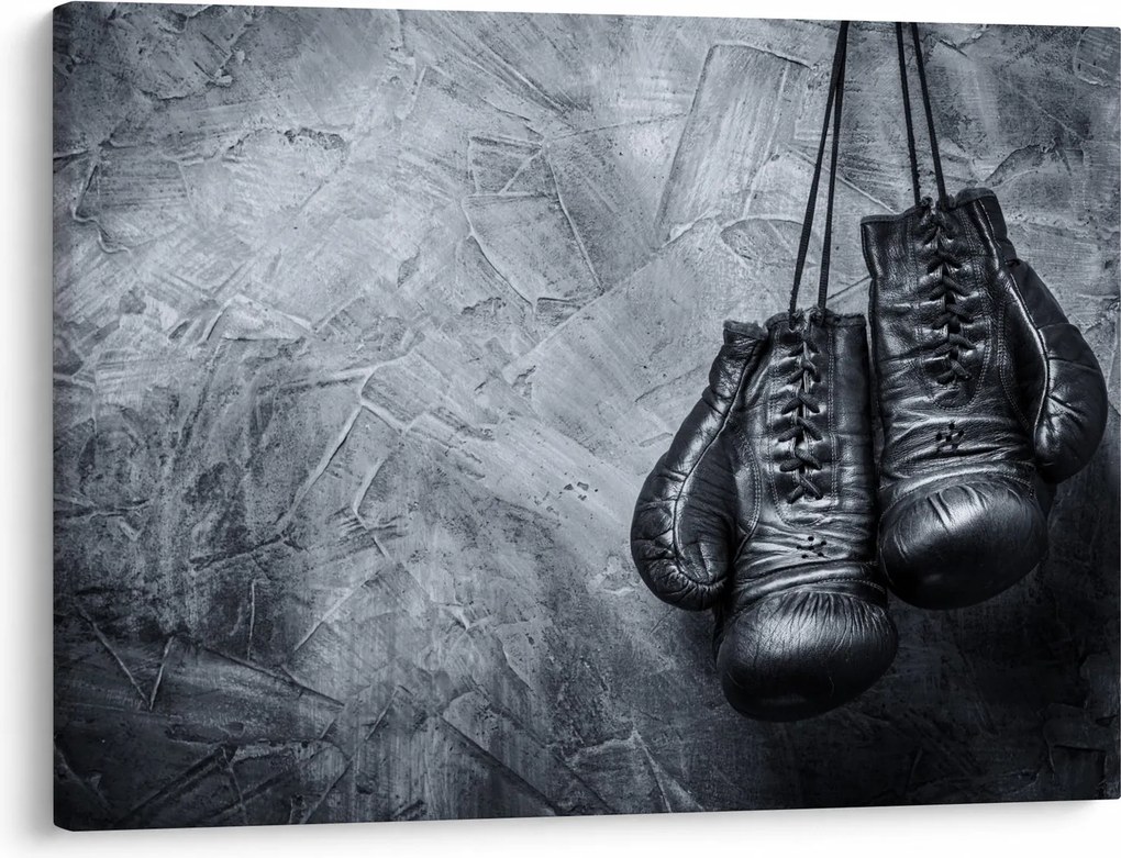 Tablou - Mănuși de box (70x50 cm)