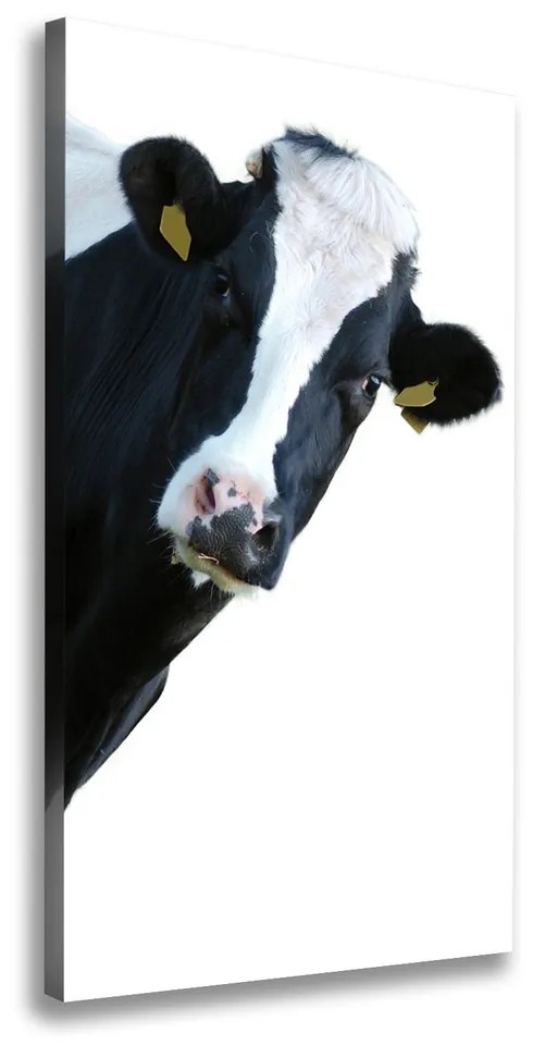 Tablou canvas Vacă de culoare pluricolori