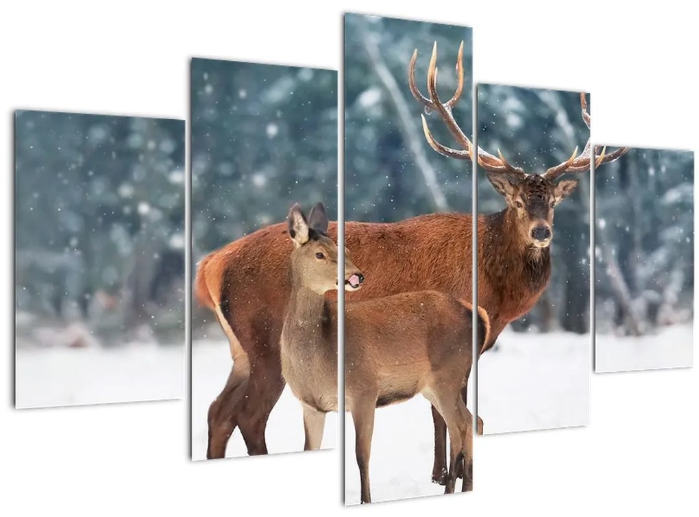 Tablou - Ceb și căprioare (150x105 cm)