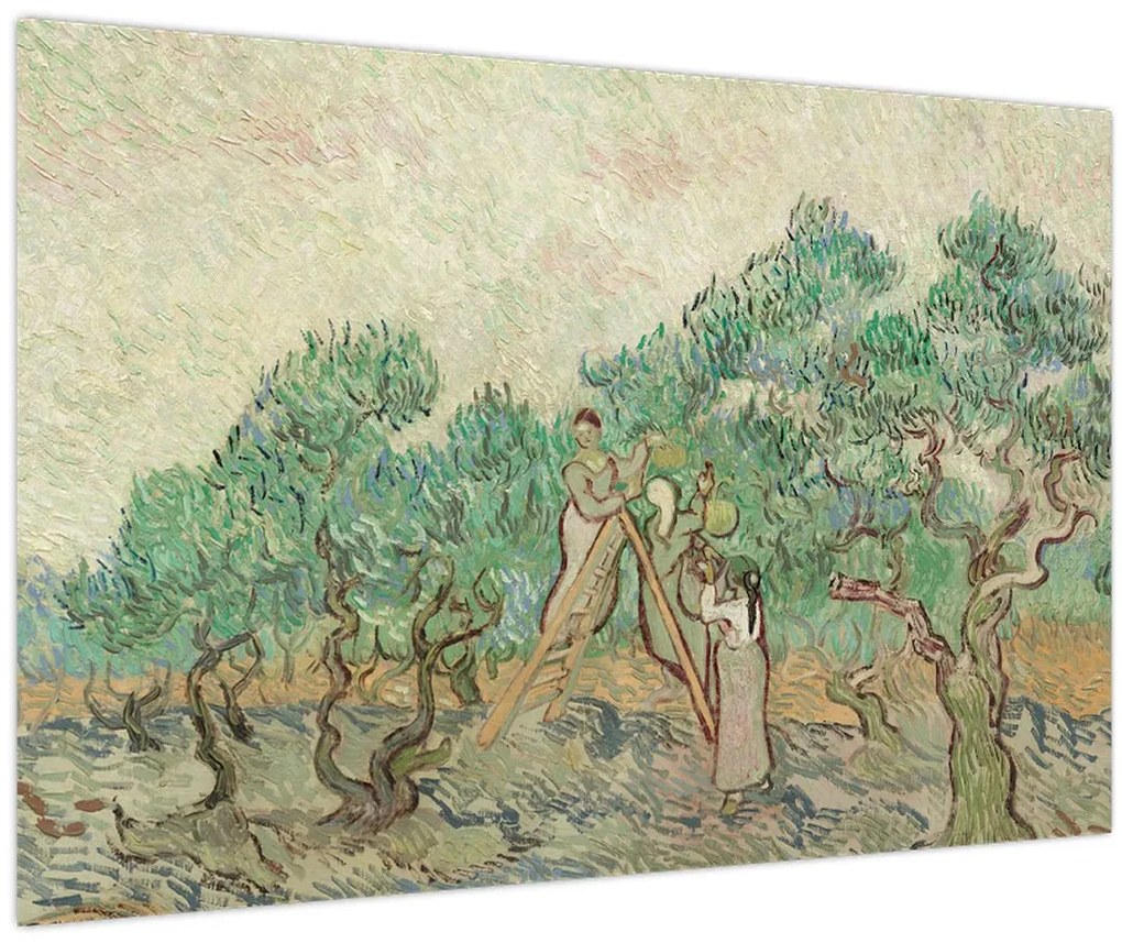 Tablou - Vincent van Gogh, The Olive Orchard, reproducere (90x60 cm)