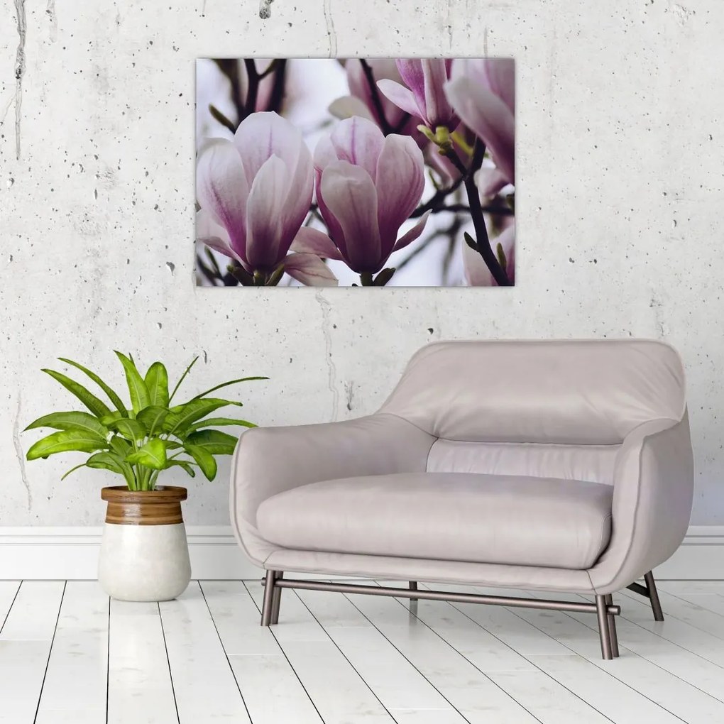 Tablou pe sticlă - Magnolie (70x50 cm)