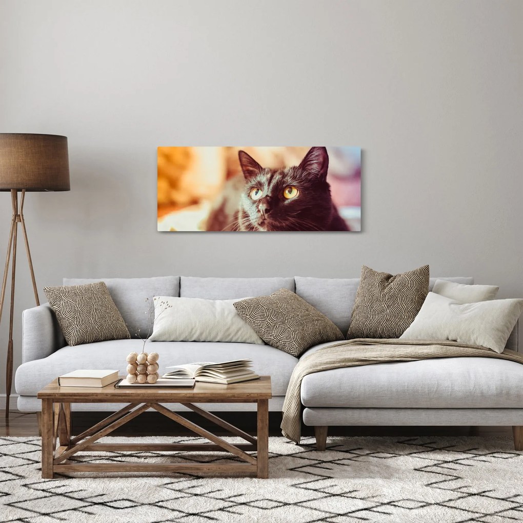 Tablou pisica neagră (120x50 cm)