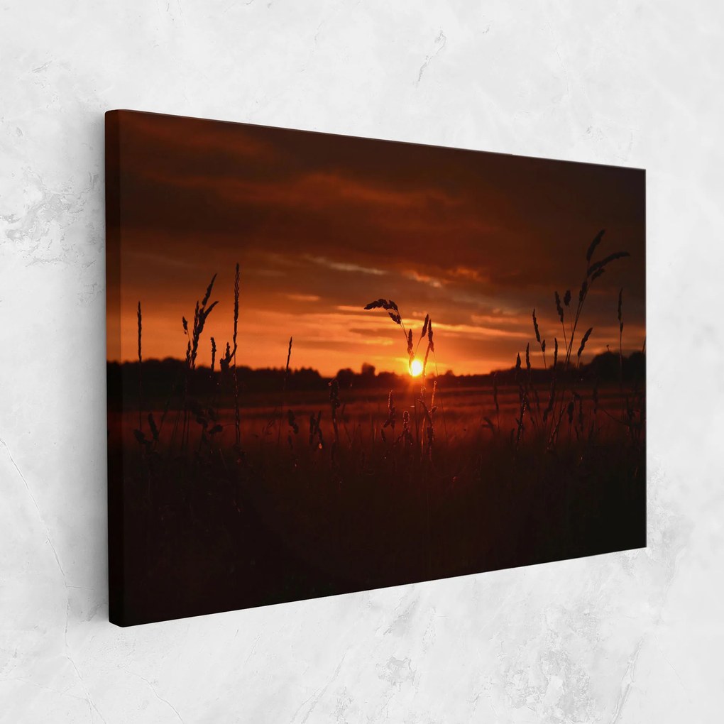 Tablou Canvas, 80x120cm, Dormitor si Living, Peisaje, Apus de soare, Field Shilouette