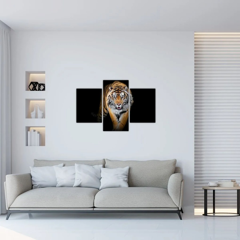 Tablou - Tiger (90x60 cm)