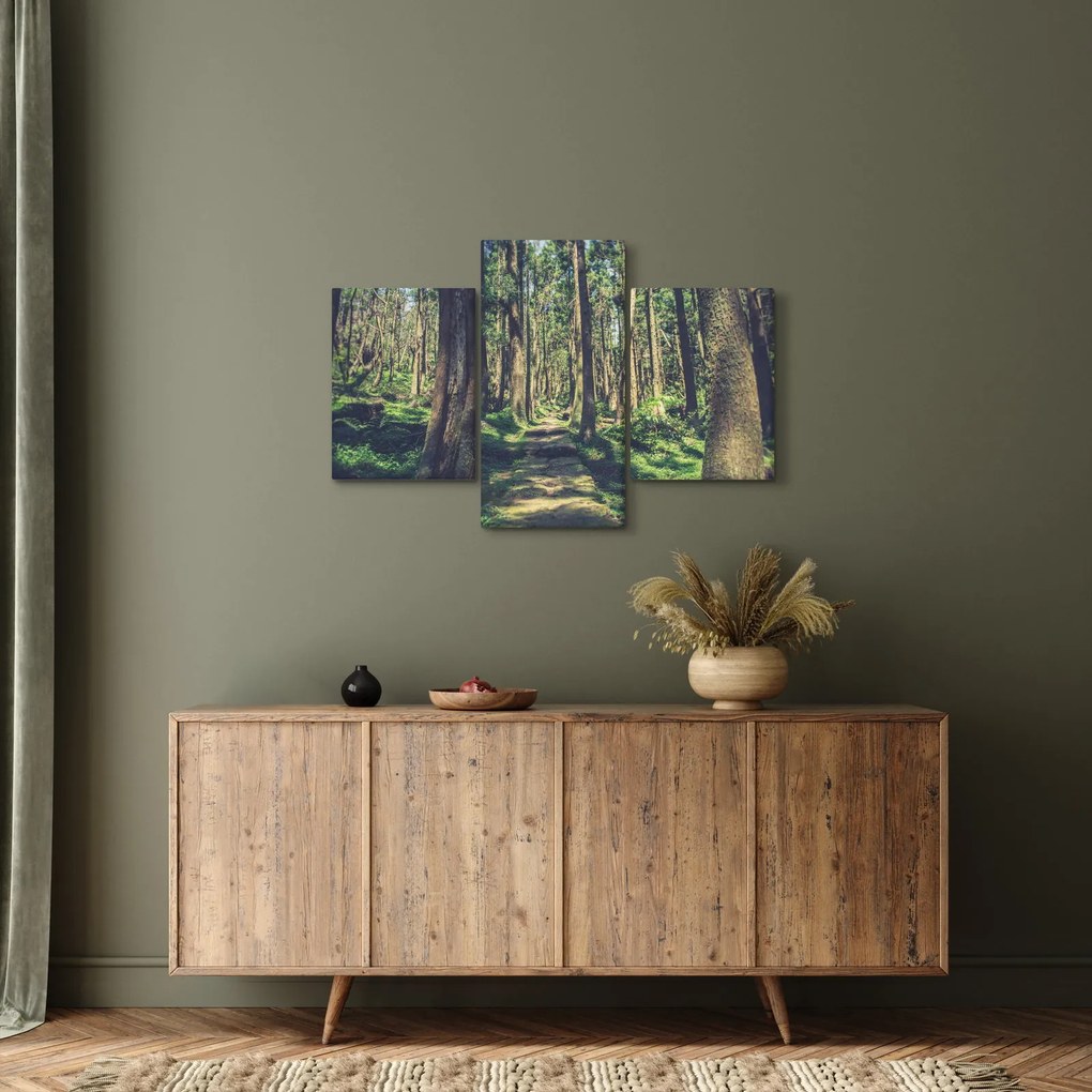 Tablou cu drum între copaci (90x60 cm)