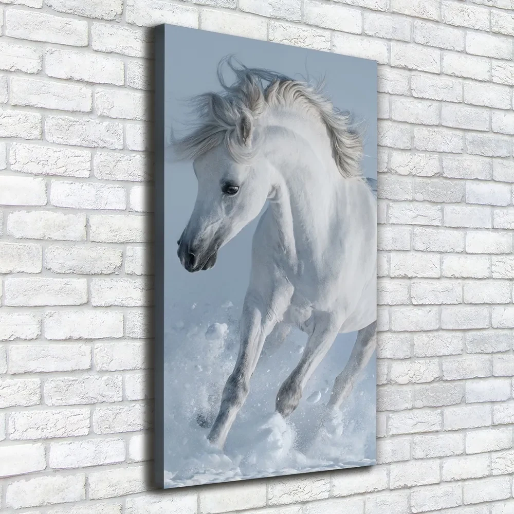 Pictură pe pânză Cal alb în galop
