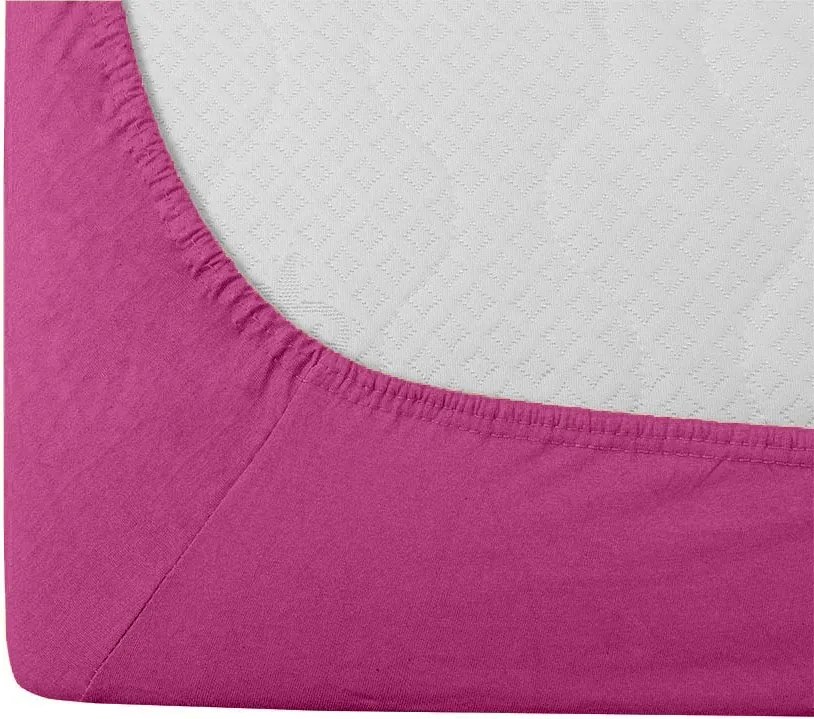 Cearsaf din bumbac cu elastic STANDARD 90 x 200 cm purpuriu