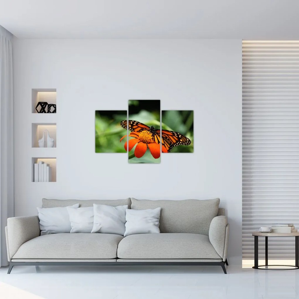 Tablou cu fluture pe floare (90x60 cm)