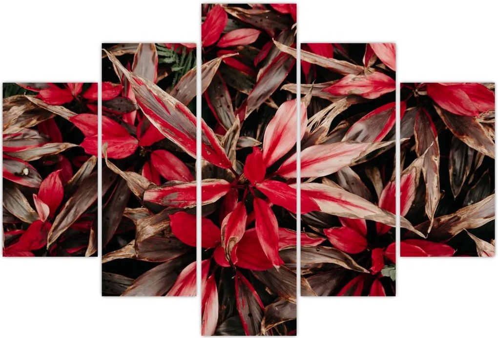 Tablou - Petale roșii (150x105 cm)