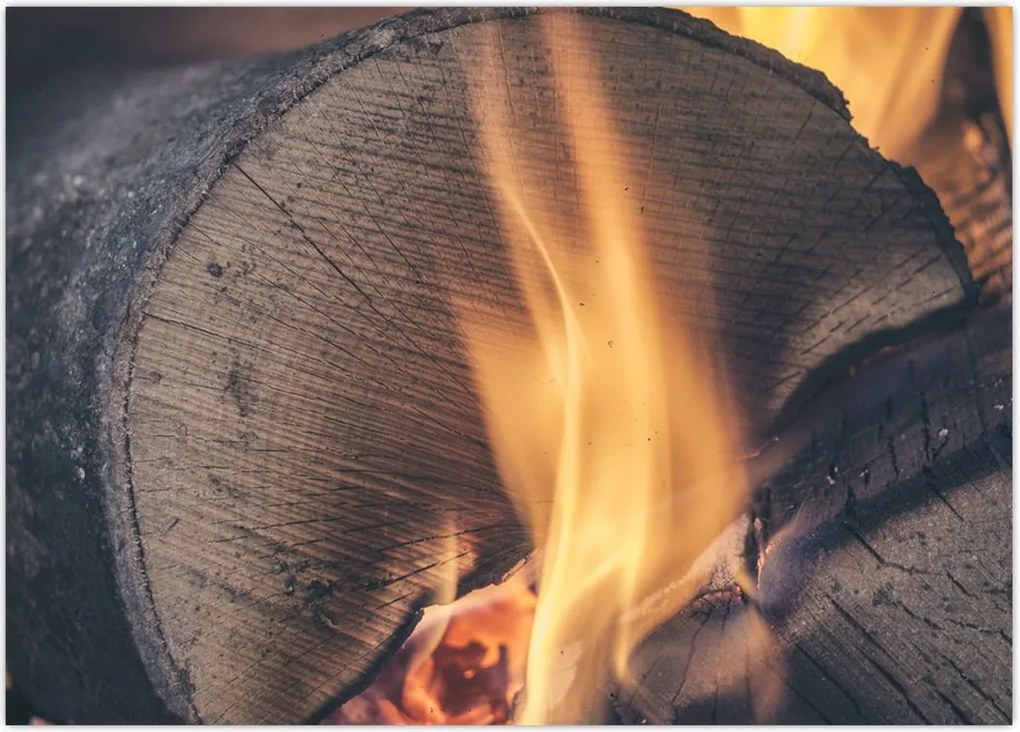 Tablou - Lemn în foc (70x50 cm)
