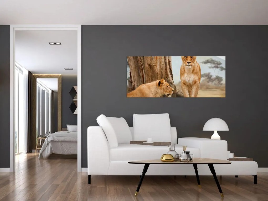 Tablou - două leoaice (120x50 cm)