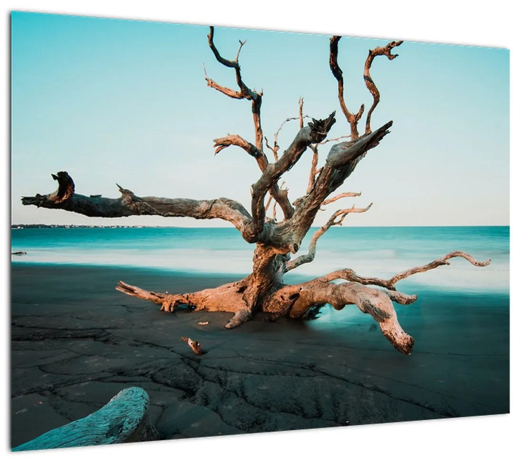Tablou - Debarcare pe plaja (70x50 cm)