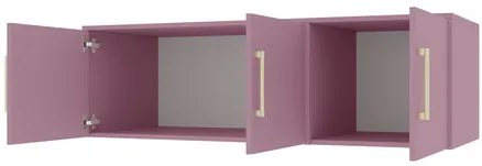 Dulap de haine cu suprastructură Lenona II D3 (prun + auriu) (cu oglindă). 1105680