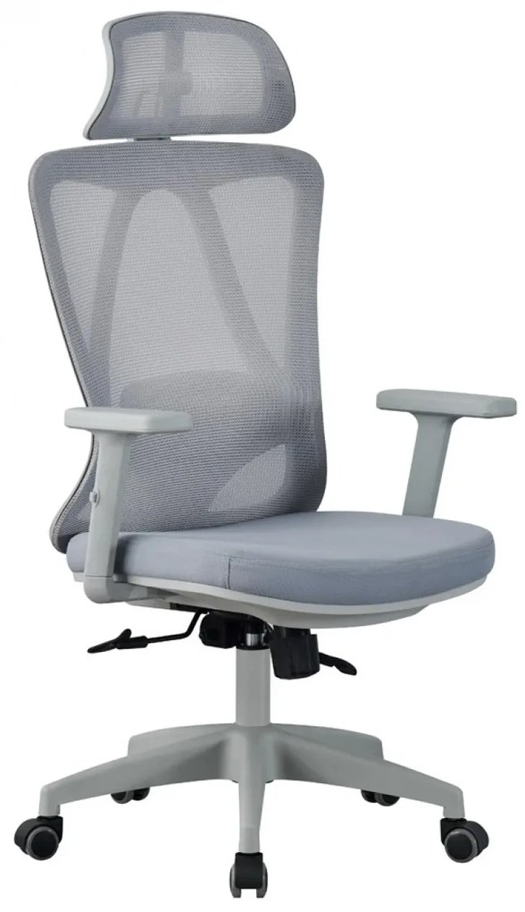 Scaun ergonomic, suport lombar reglabil, tetiera reglabila, cotiera 2D, reglare pe inaltime, mecanism inclinare/blocare in 3 pozitii, pivotant, Mesh, Gri
