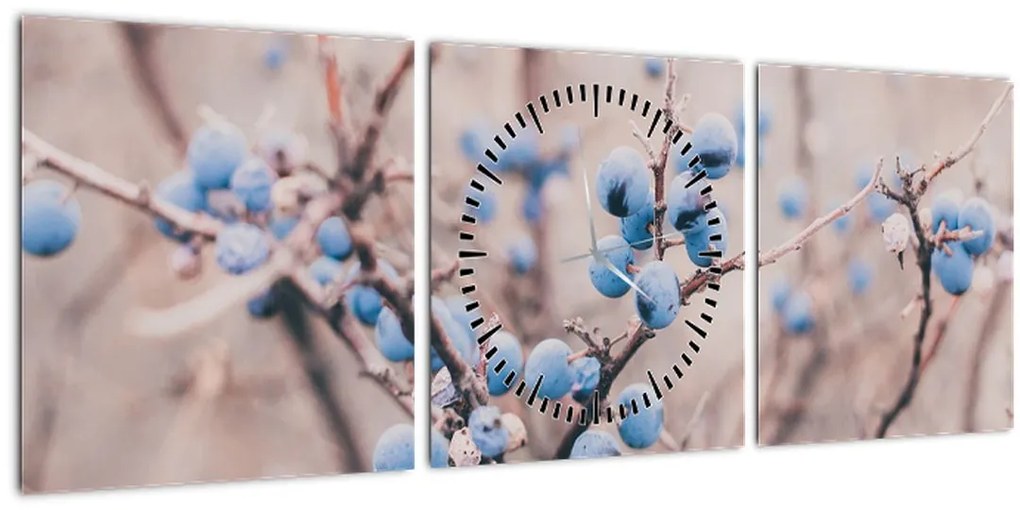 Tablou cu fructe pe tufiș (cu ceas) (90x30 cm)