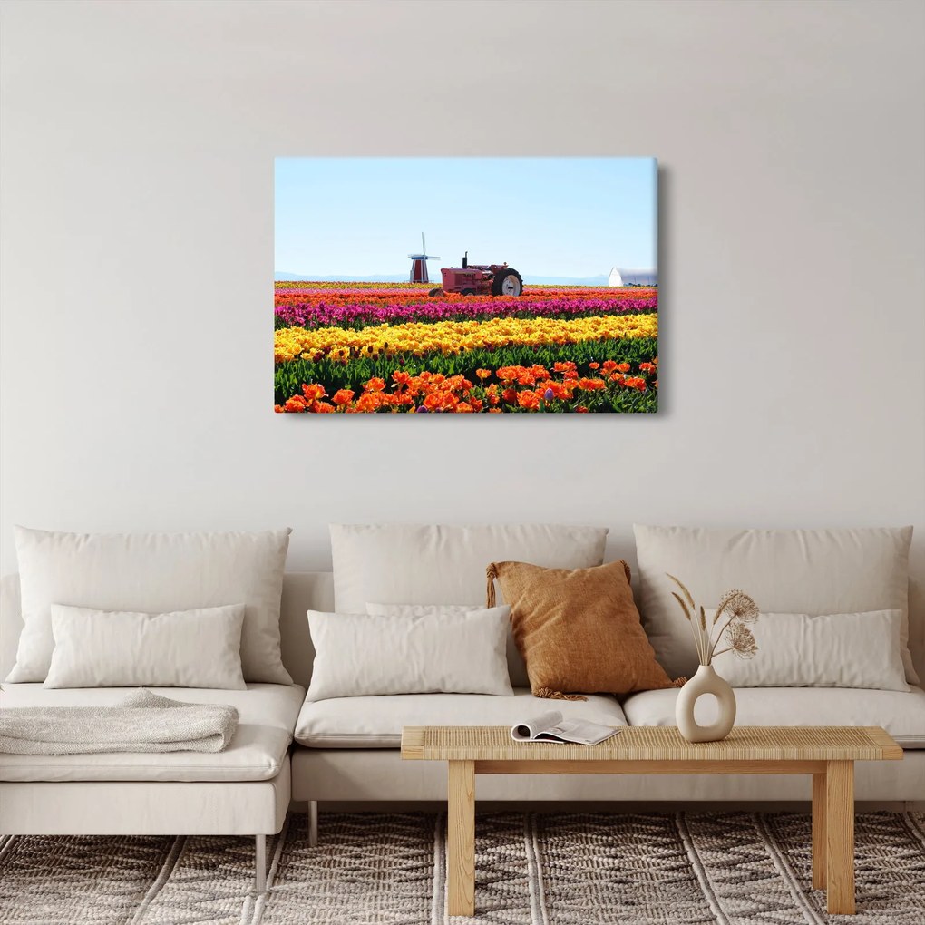 Tablou cu farma de lalele (90x60 cm)