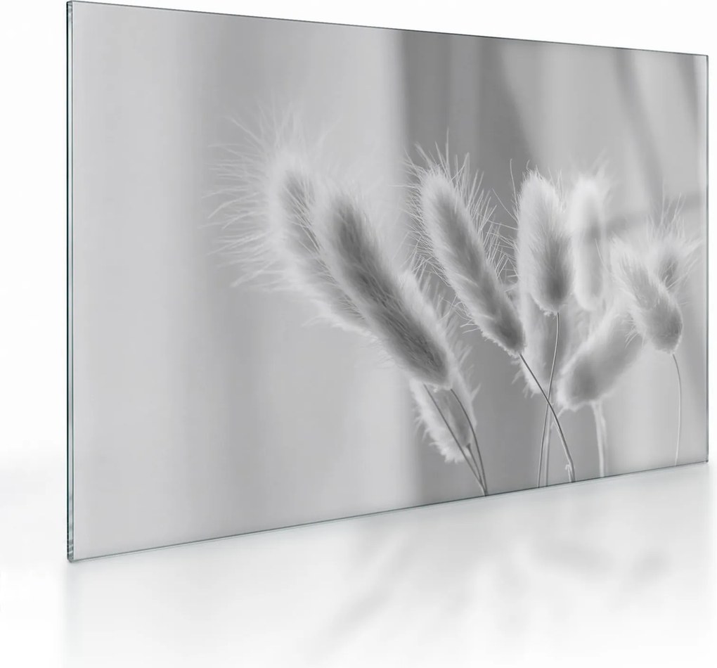 Tablou pe sticlă - Iarbă de coadă de iepure (70x50 cm)