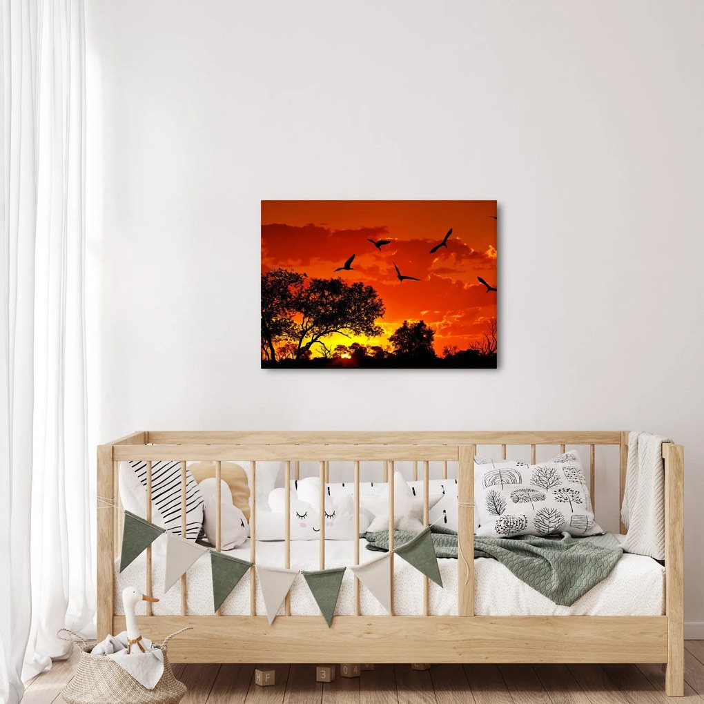 Tablou cu păsări în apus de soare (70x50 cm)