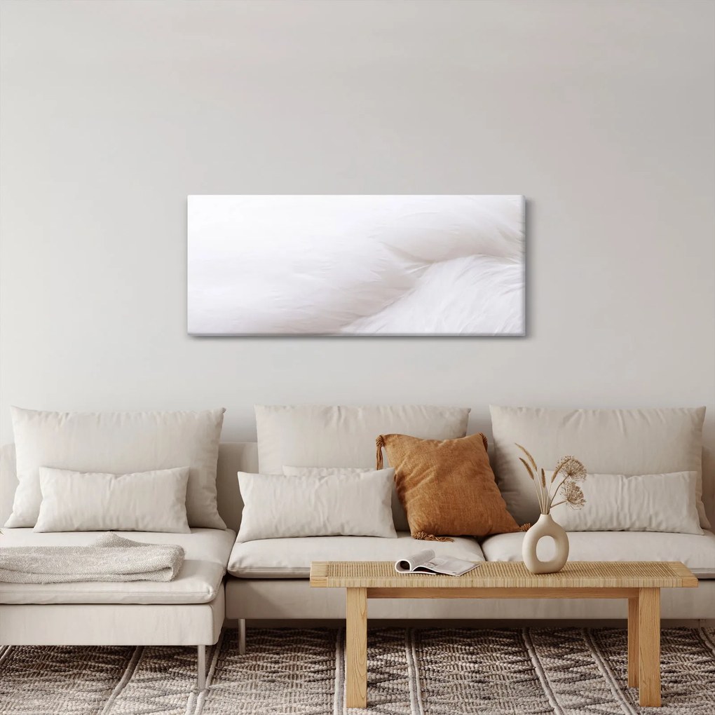 Tablou - Pană albă (120x50 cm)