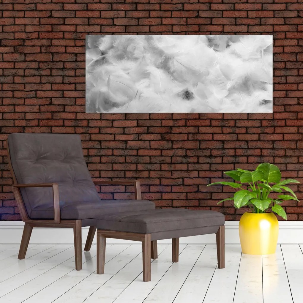 Tablou - Nori de pene (120x50 cm)