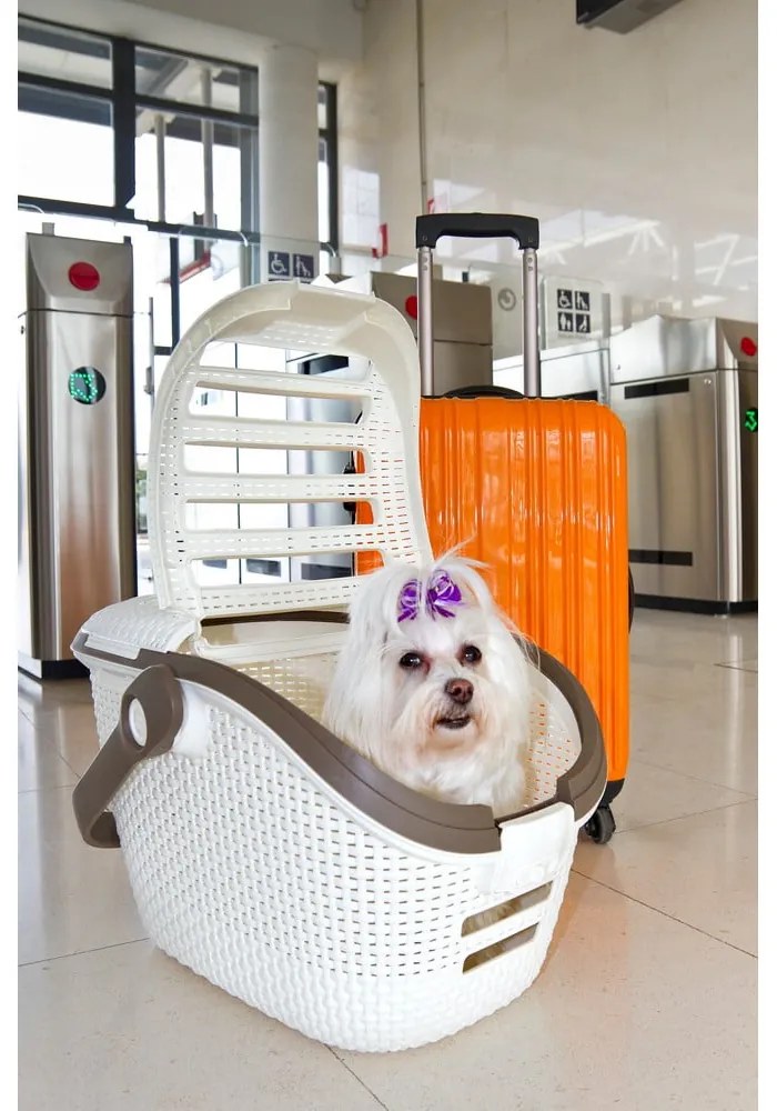Cutie de transport pentru animale Curver Vintage, alb