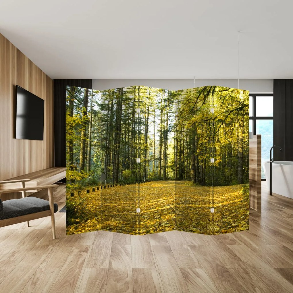Paravan - Pădurea toamna (210x170 cm)