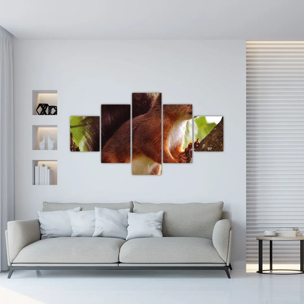 Tablou cu veverița (125x70 cm), în 40 de alte dimensiuni noi