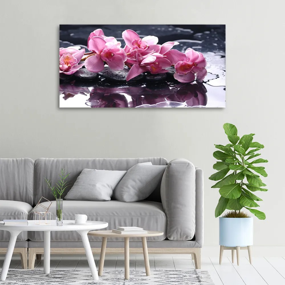 Tablou pe pânză canvas Orhidee roz
