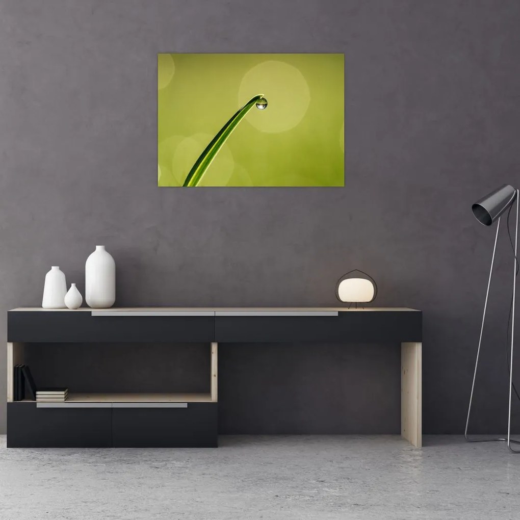 Tablou pe sticlă cu picătură de apă pe iarbă (70x50 cm)