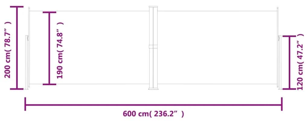Copertina laterala retractabila, antracit, 200x600 cm Antracit, 200 x 600 cm