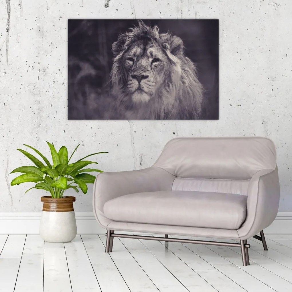 Tablou cu leu (90x60 cm)