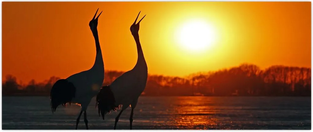 Tablou cu păsări în apus de soare (120x50 cm)