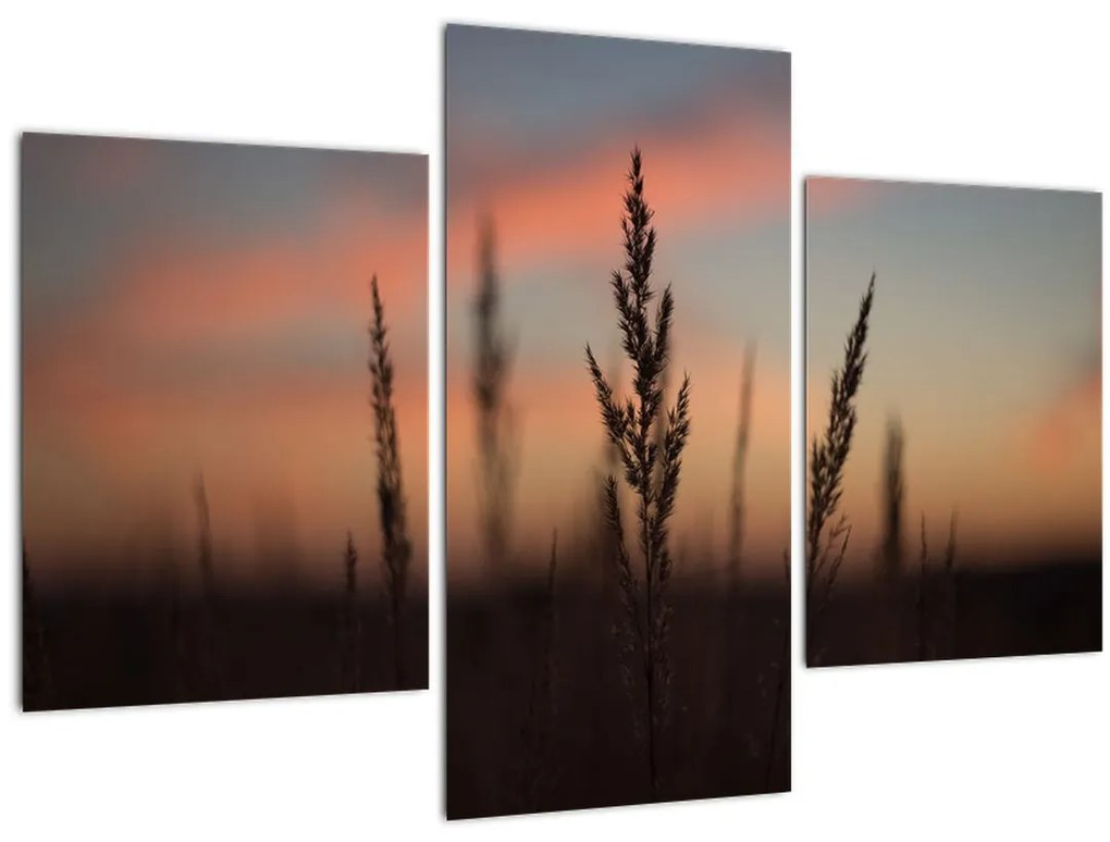 Tablou - Silueta plantei (90x60 cm)