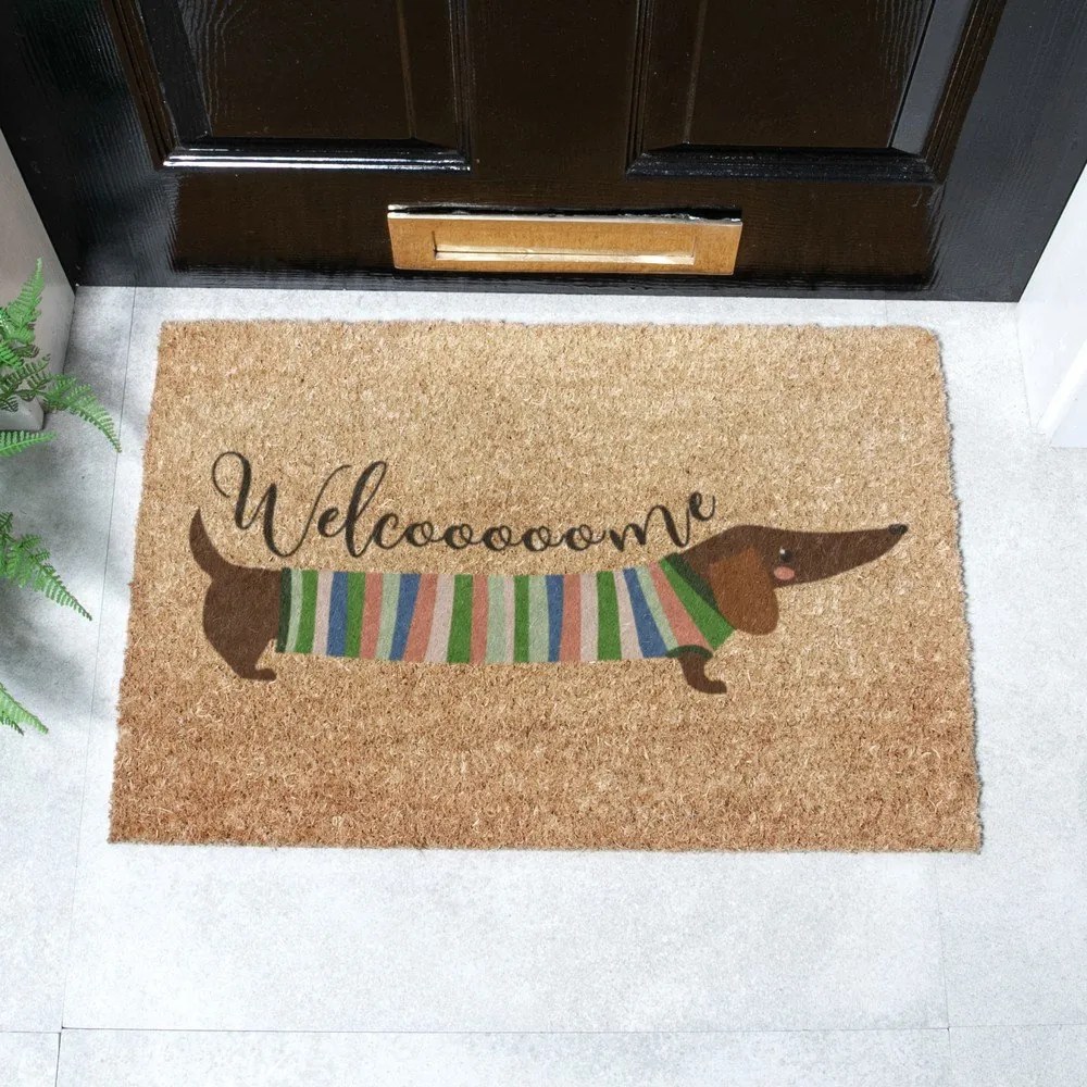 Covoraș de intrare din fibre de nucă de cocos 40x60 cm Welcome Sausage Dog – Artsy Doormats