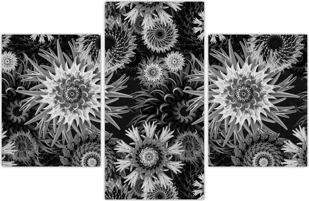 Tablou - Ciulini negri și albi (90x60 cm)