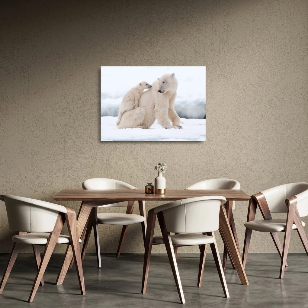 Tablou pe sticlă - Urs polar (70x50 cm)