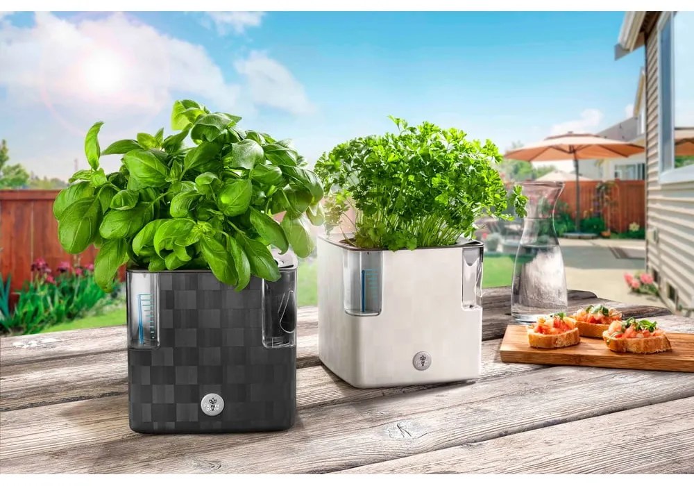 Ghiveci cu sistem de auto-udare Lover Cobble, 14 x 14 cm, gri antracit