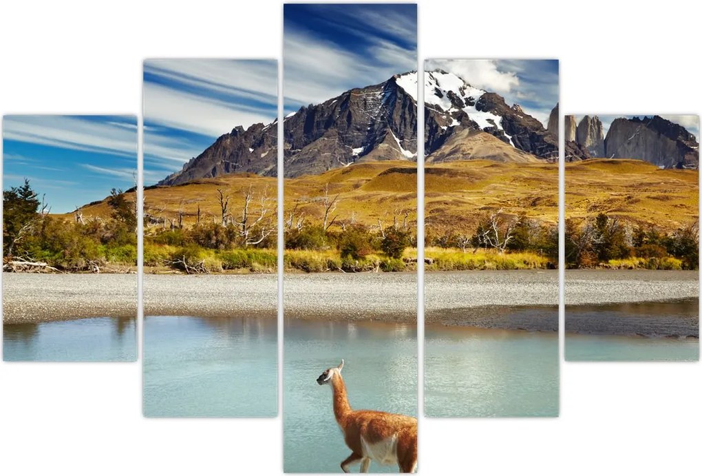 Tablou - Parcul Național Torres del Paine (150x105 cm)