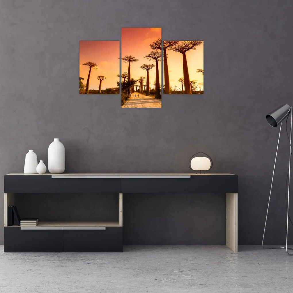 Tablou - Apus de soare pe Aleea Baobabilor (90x60 cm)