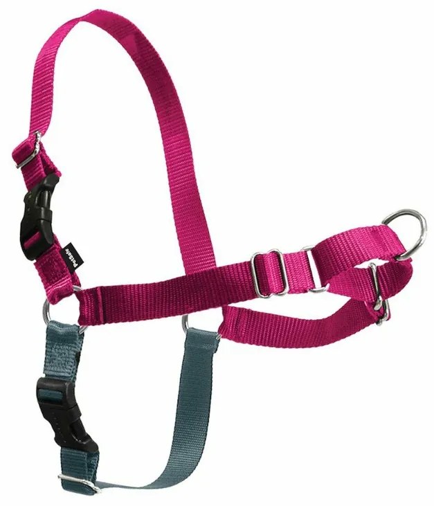 PetSafe Harness EasyWalk zmeură L