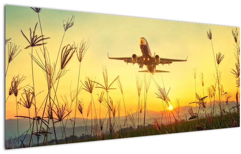 Tablou cu avion zburând (120x50 cm)