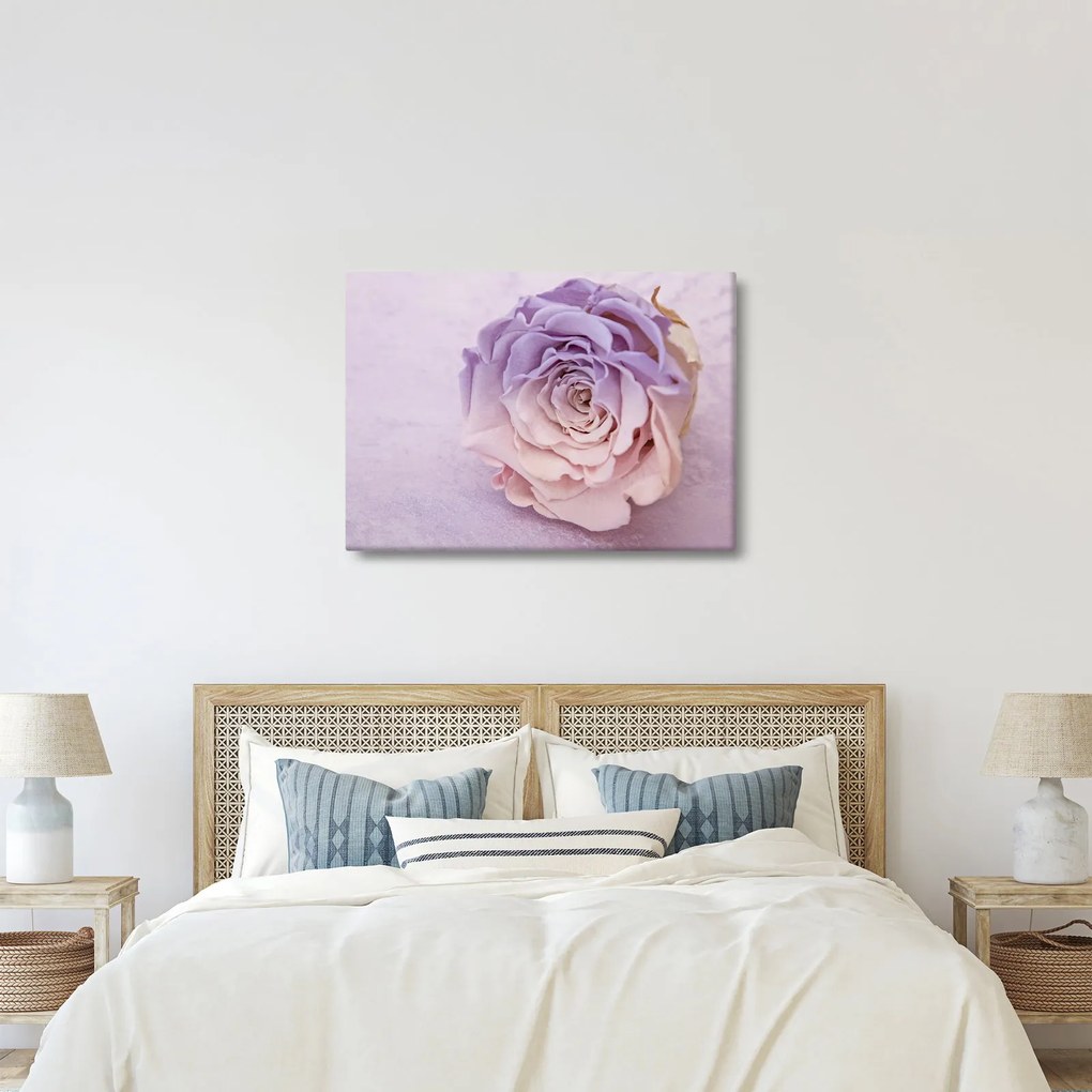 Tablou detaliu florii de trandafir (70x50 cm)