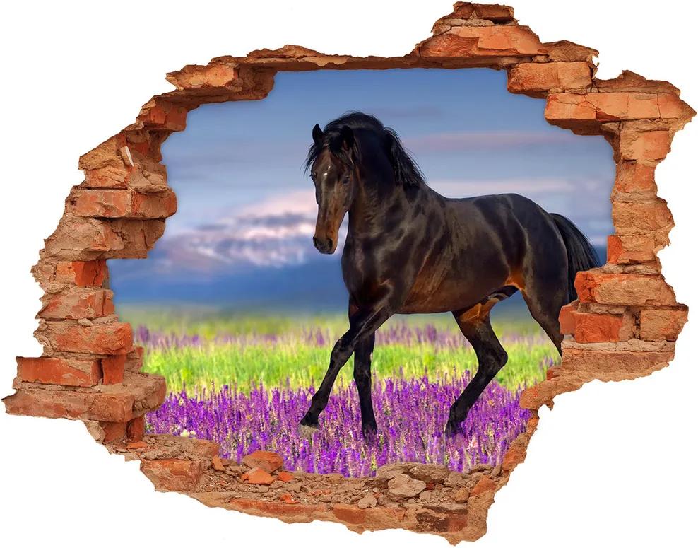 Autocolant un zid spart cu priveliște Un cal într-un câmp de lavandă