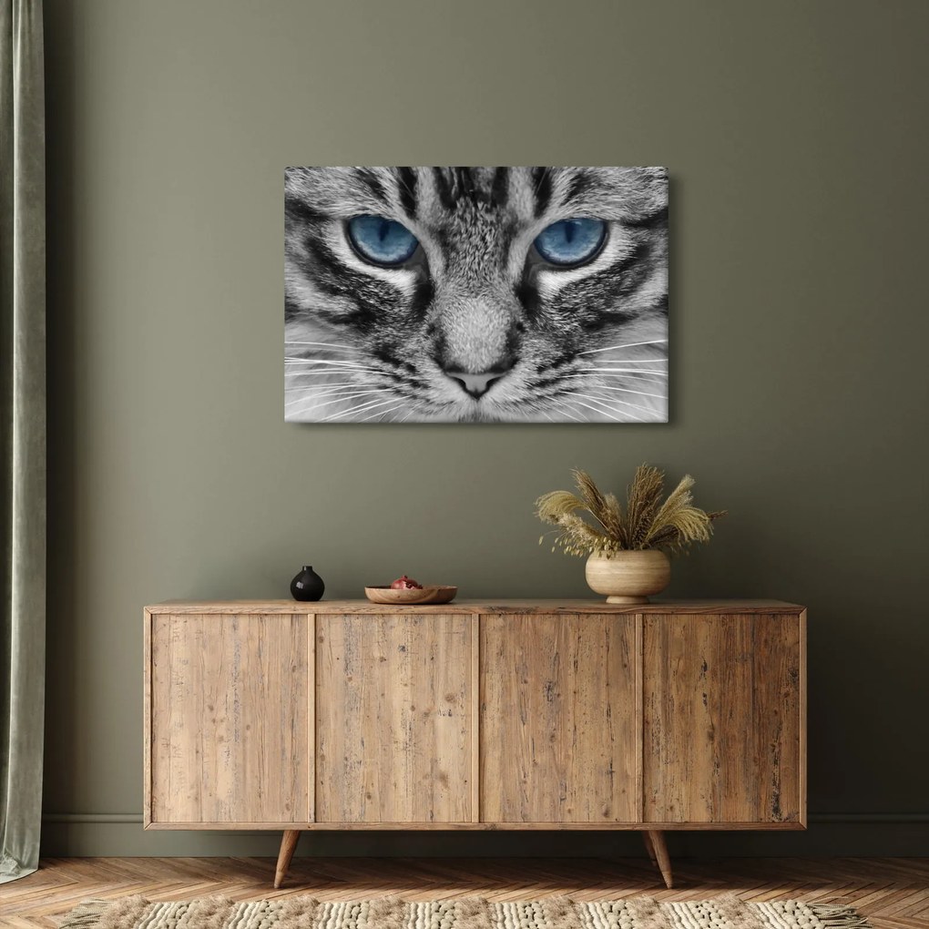Tablou cu pisica (90x60 cm)