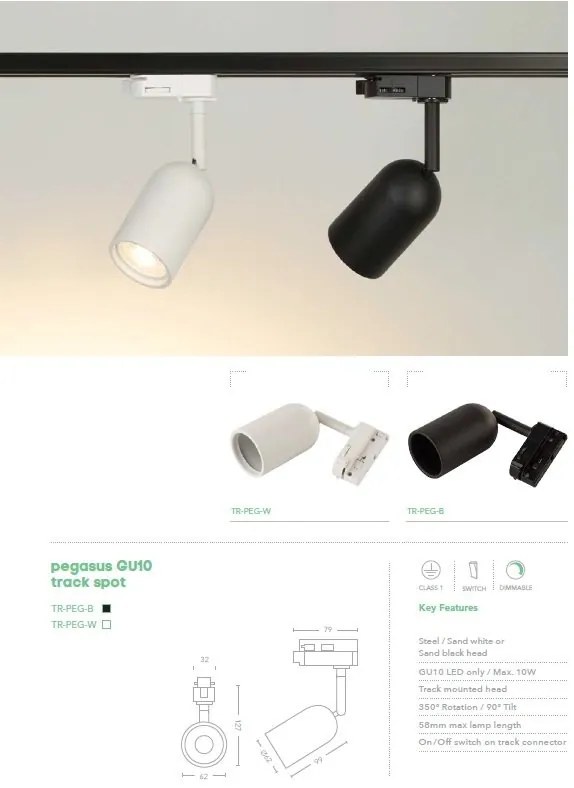 Spot directionabil pentru sina Track Project Collection, Pegasus negru