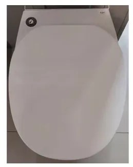 Capac wc softclose Rak Ceramics Morning