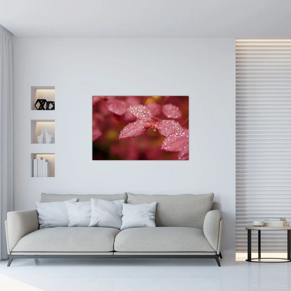 Tablou - Imagine macro a biletului (90x60 cm)